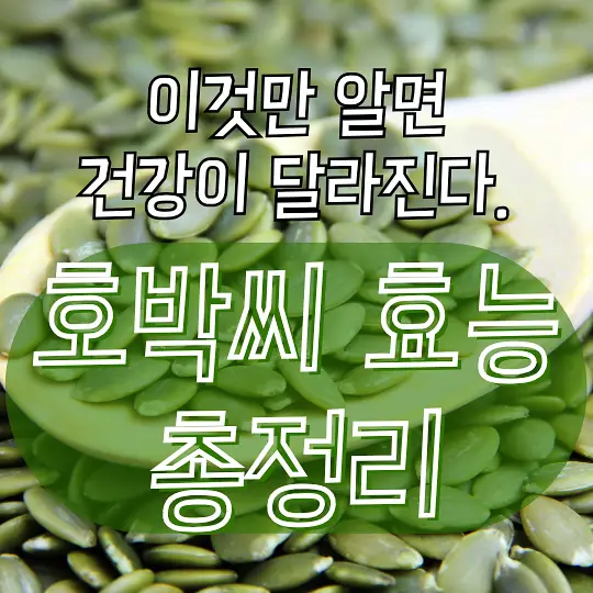 호박씨 효능