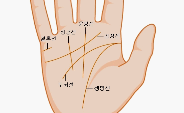 손금술의 의미