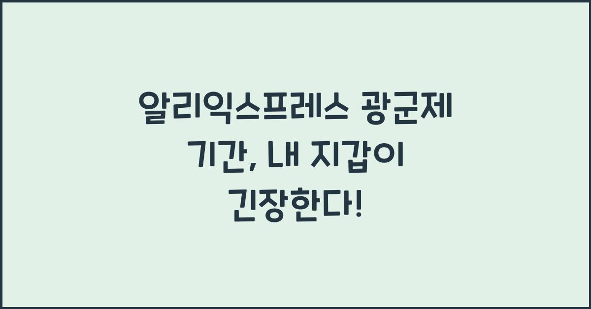 알리익스프레스 광군제 기간