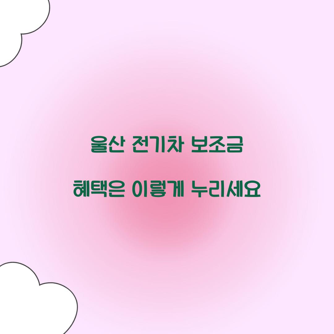 울산 전기차 보조금