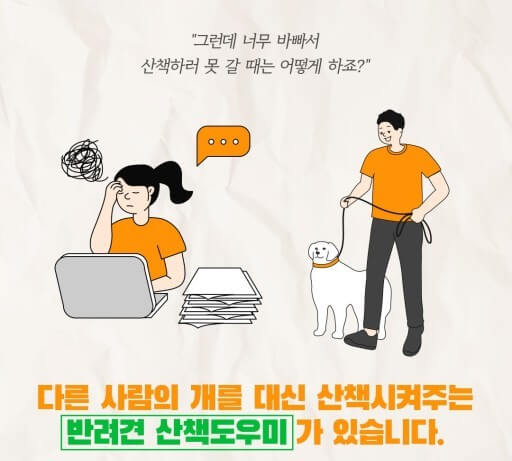 산책도우미는 개에 대한 이해도 필요