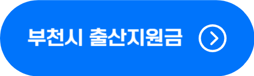 경기도 부천시 출산지원금 확인 버튼