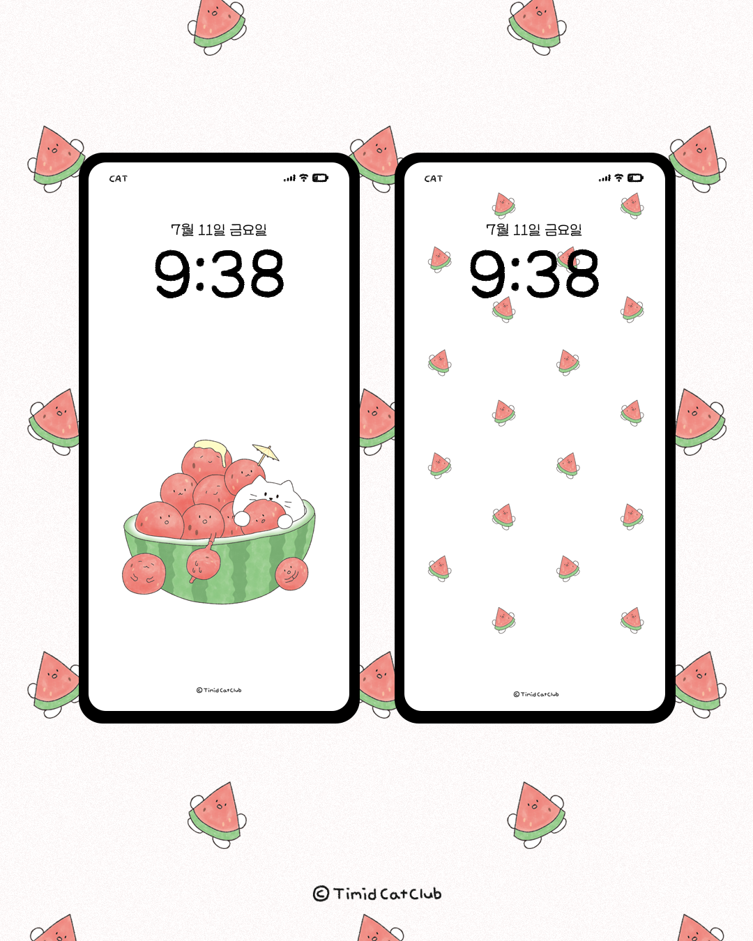 티미드캣클럽 배경화면 공유