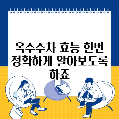 옥수수차 효능 한번 정확하게 알아보도록 하죠