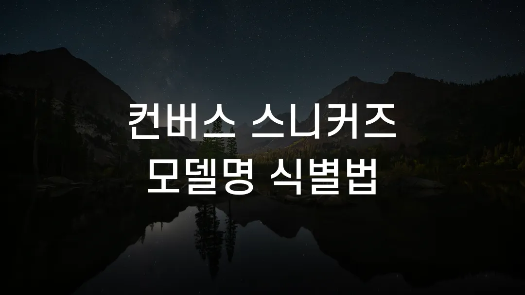 컨버스 스니커즈 모델명 식별법