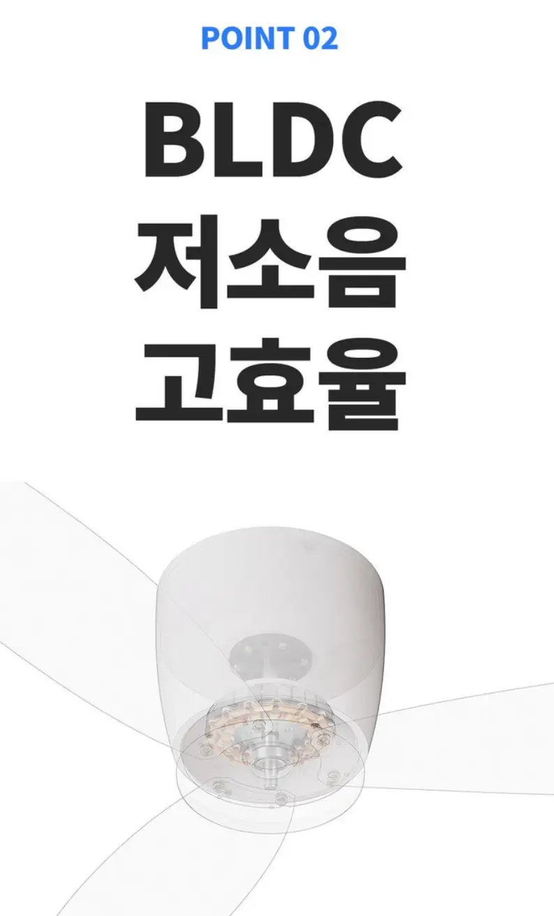 사진7