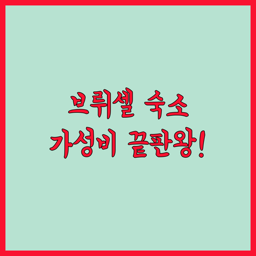 브뤼셀 호텔 추천 가성비 좋은 시내 ..