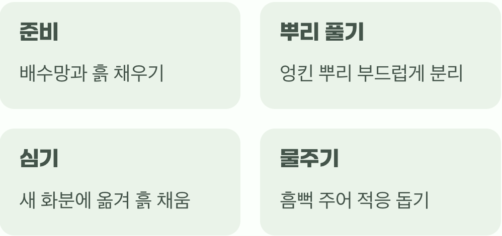 분갈이, 새집으로 이사하는 날