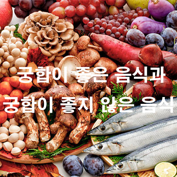 궁합이 좋은 음식과 궁합이 좋지 않은 음식