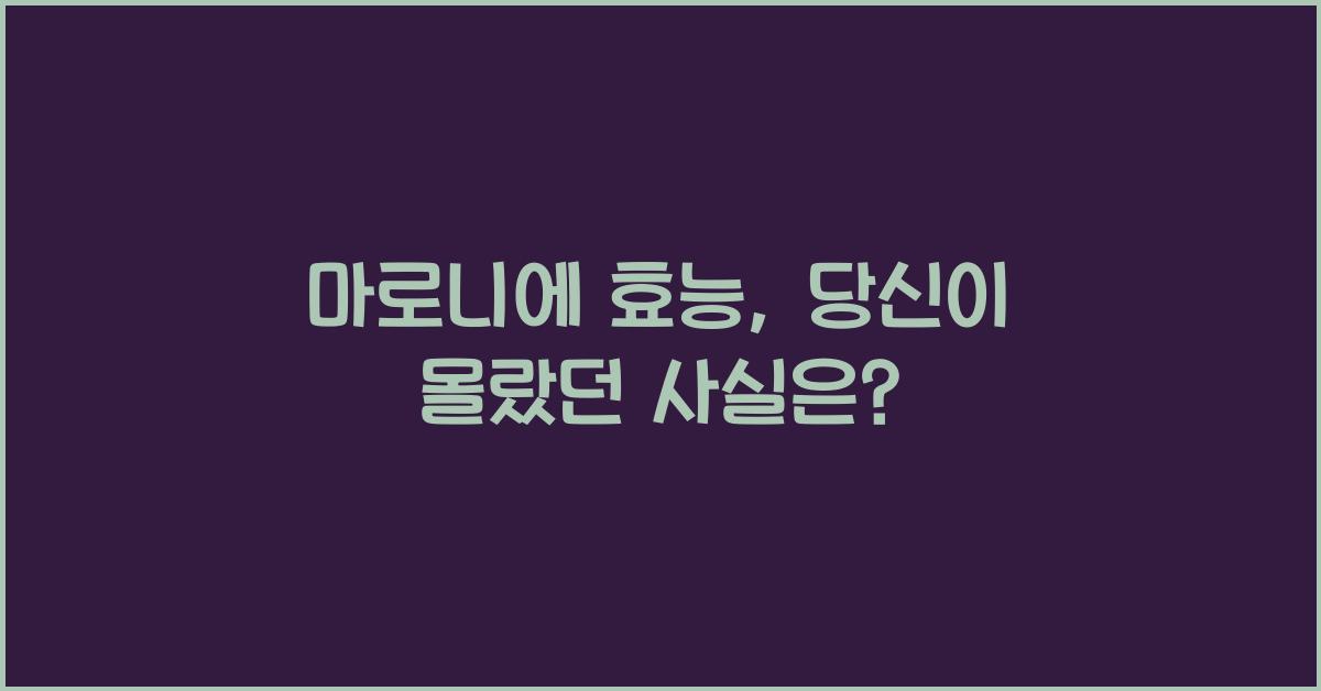 마로니에 효능