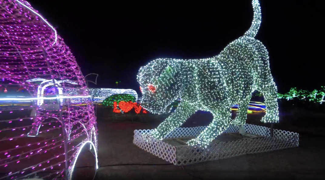 태안빛축제할인방법 태안별빛축제 태안불빛축제 태안애견동반 태안꽃축제 튤립축제 꽃박람회 태안할인