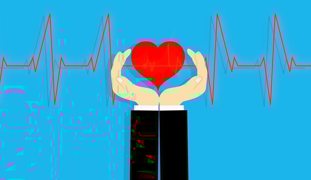건강한 심장