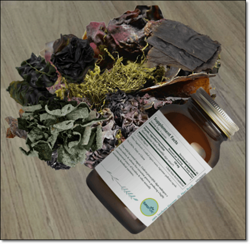 갈조류에 풍부한 후코이단