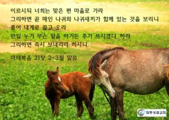 마태복음 21장 강해 모퉁이의 머릿돌_24