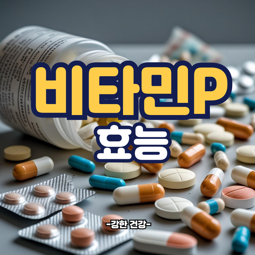 비타민P 효능