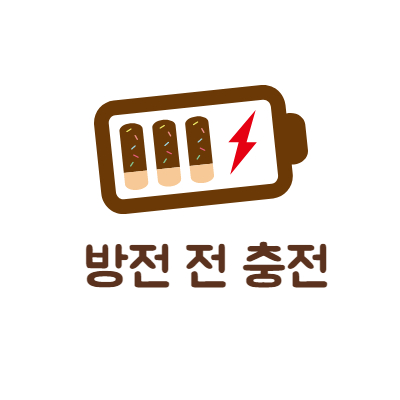 방전 전 충전