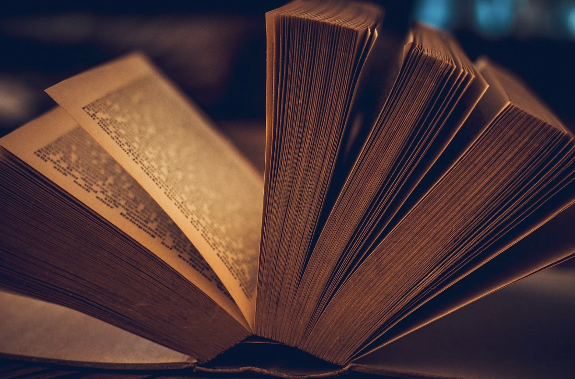 스릴러 도서 추천 사진