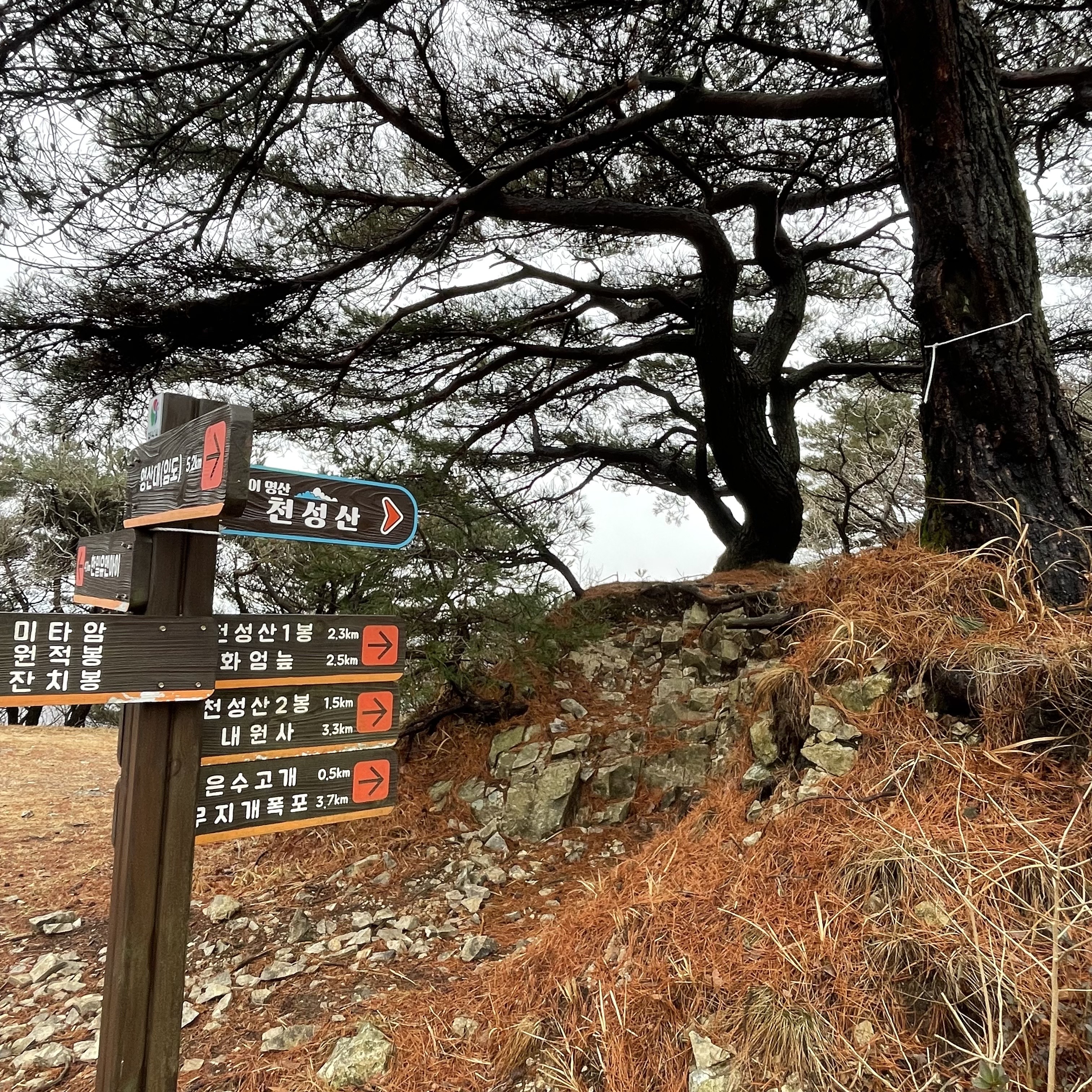 천성산 표지판