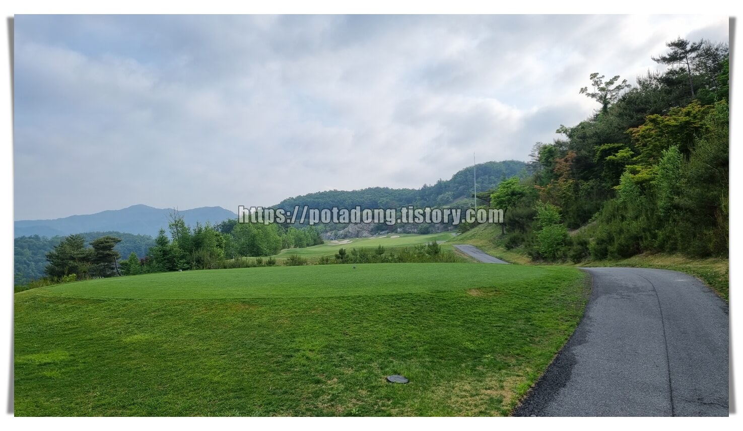 더플레이어스 CC