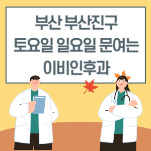 부산 부산진구 토요일 일요일 이비인후과 진료 병원 리스트
