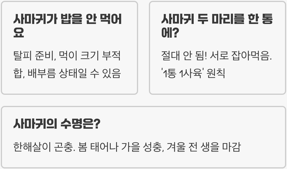 곤충의 제왕 사마귀 키우기 A to Z (먹이&amp;#44; 사육통&amp;#44; 짝짓기 완벽 가이드)