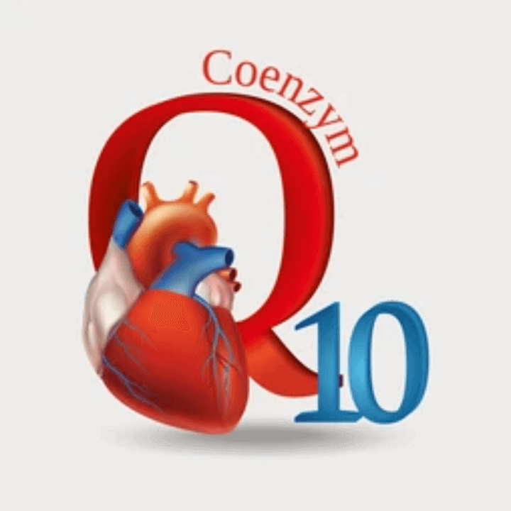 코엔자임Q10-심장-모식도