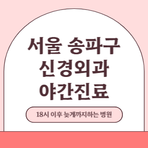 서울 송파구 야간진료 신경외과 병원 (18시 이후 늦게까지하는 병원)