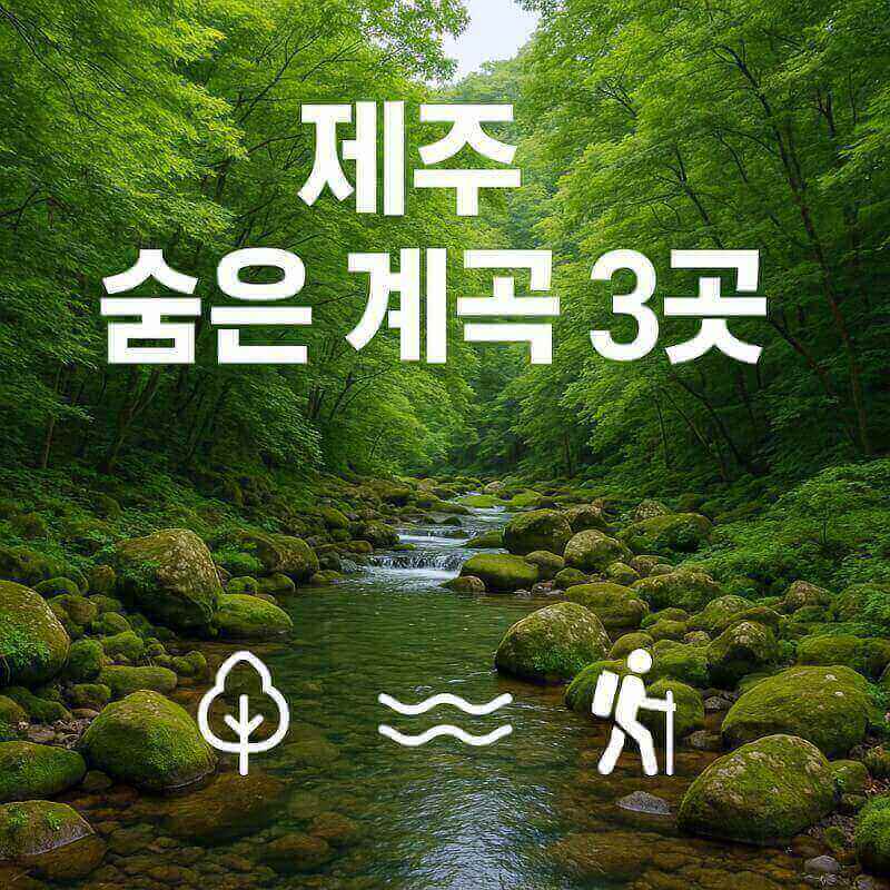 제주도 계곡 여행 (돈내코계곡, 엉또폭포, 한라산 둘레) 관련사진