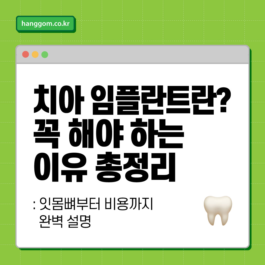 치아 임플란트란? 꼭 해야 하는 이유 총정리: 잇몸뼈부터 비용까지 완벽 설명