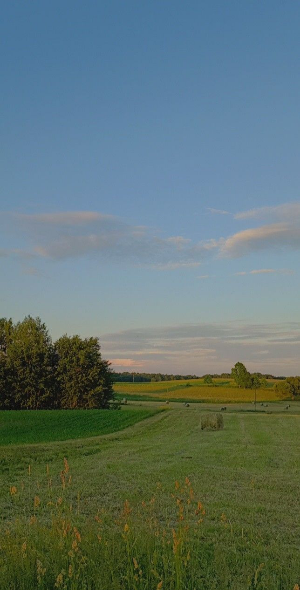 스마트폰 배경화면 잠금화면 자연 풍경 무료 다운로드