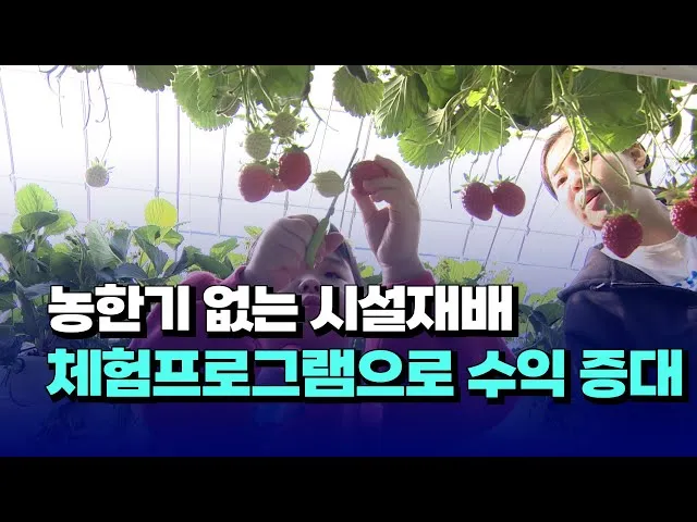 농한기 수익 아이템 건조채소 장아찌 씨앗판매 체험농장_6