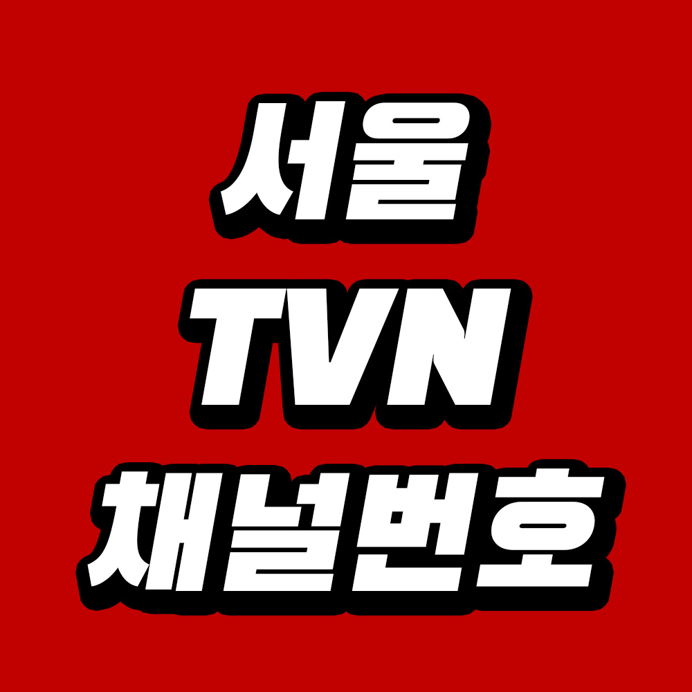 서울 지역별, 통신사별 tvN 채널 번호