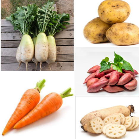 무, 감자, 고구마, 당근, 연근 사진
