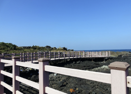 제주 여행 2박3일 추천코스(자유여행)