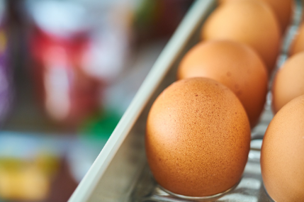 냉장고 냉동실 고장원인