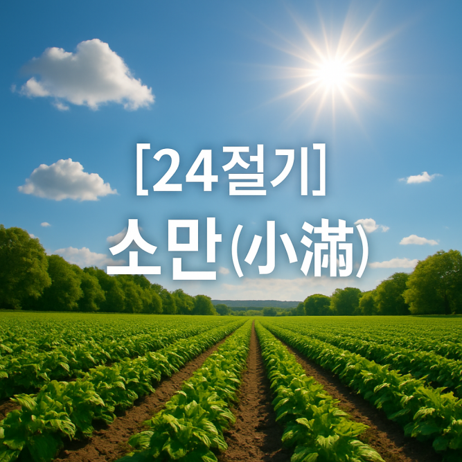 햇살이 가득한 넓은 들판에서 곡식이 무성하게 자라고 있는 장면. 먼 배경에는 농촌 마을과 풍성한 나무들이 어우러져 본격적인 농사와 여름 성장을 상징하는 풍요로운 자연 풍경