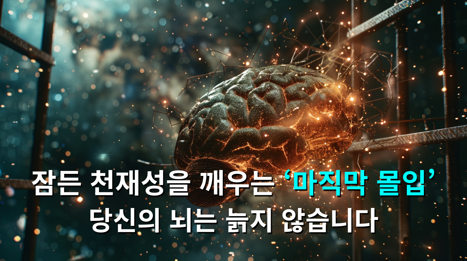 잠든 천재성을 깨우는 **'마지막 몰입' 당신의 뇌는 늙지 않습니다