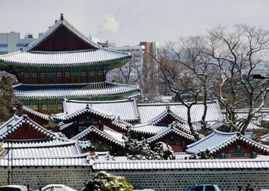 1월 서울 가볼만한곳 ❘ 국내 겨울 여행지 추천 ❘ 데이트 ❘ 가족 ❘ 실내 ❘ 당일치기 ❘ 무료 볼거리