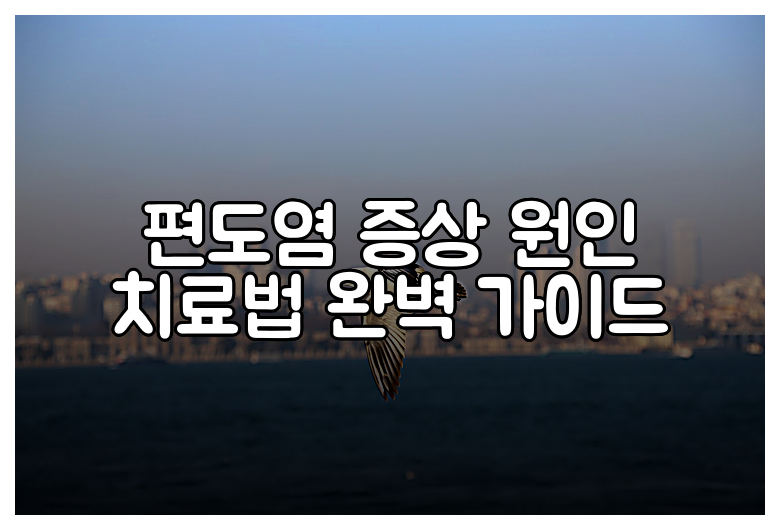 편도염 증상 원인 치료법 완벽 가이드