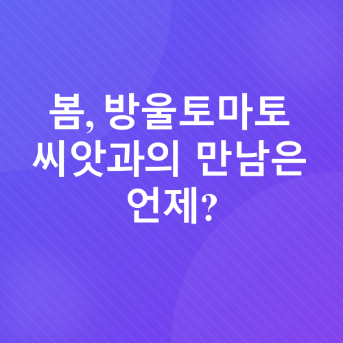 방울토마토 재배 가이드_1