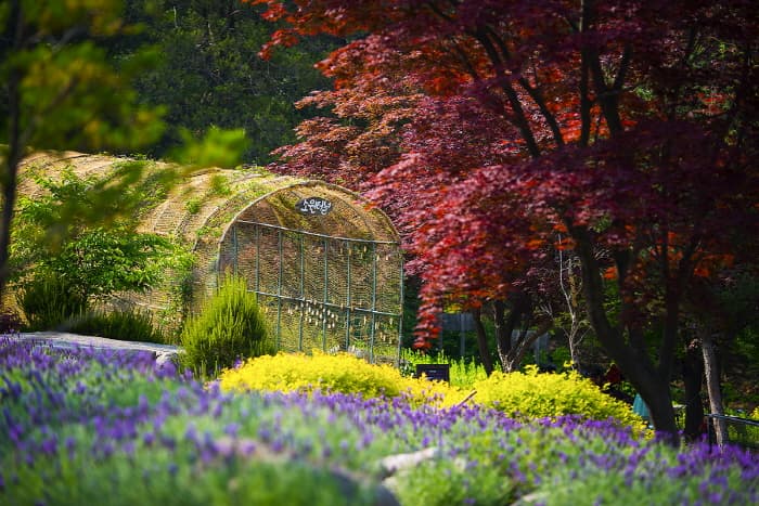 [서울 근교 여행지]산들소리 수목원 &amp; 낭만등불축제 후기
