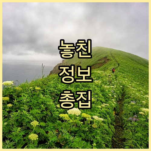 2025년 하반기 산청군 학자금 이자..