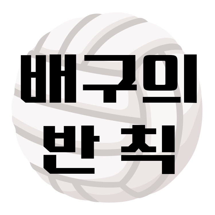 배구 반칙