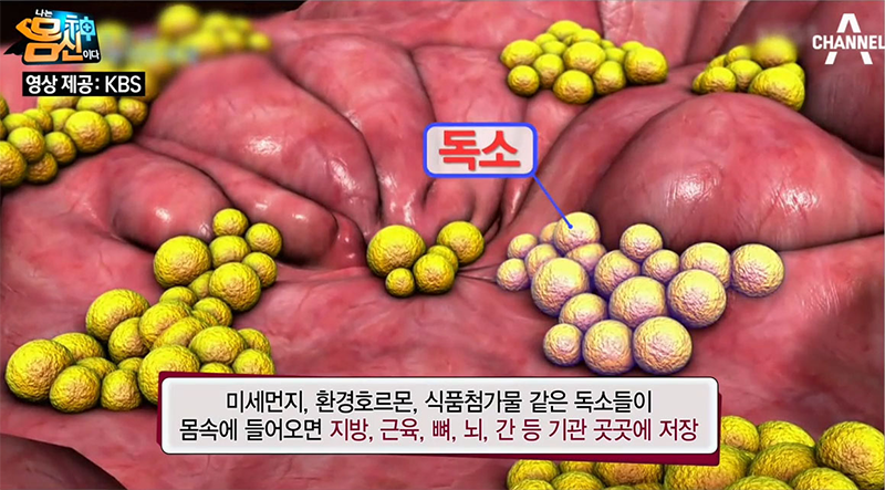 몸신-독소 / 뻬빼주스 / 지용성 독소