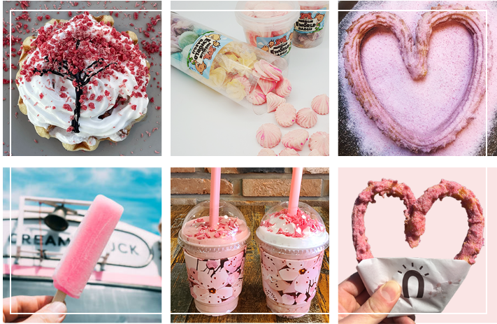 2023년 이월드 블라썸 피크닉 벚꽃 축제 정보 (2023년 벚꽃축제, 지역축제, 3월축제), 83타워, 이월드 벚꽃축제 일정, 추자정보, 요금