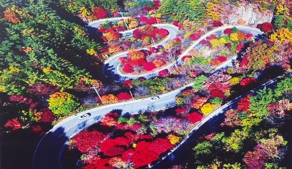 단양 보발재