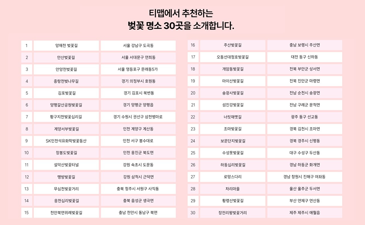 벚꽃 명소 선정 기준은 무엇일까?