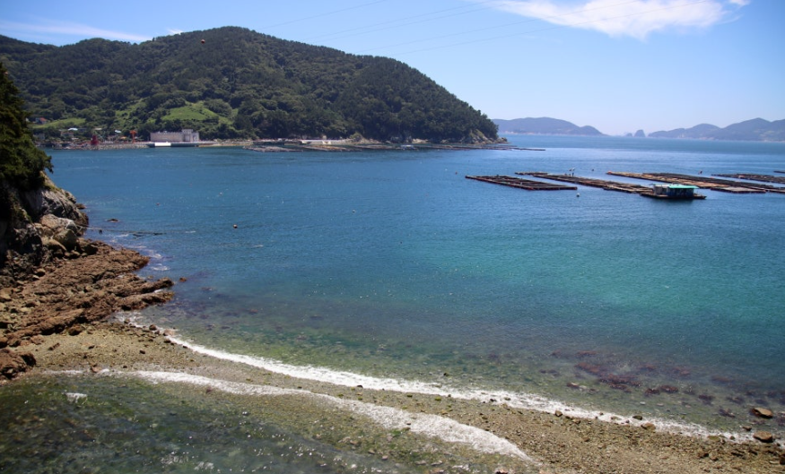 수국도 보고 힐링도 하는 통영 연화도 백패킹 완전 가이드