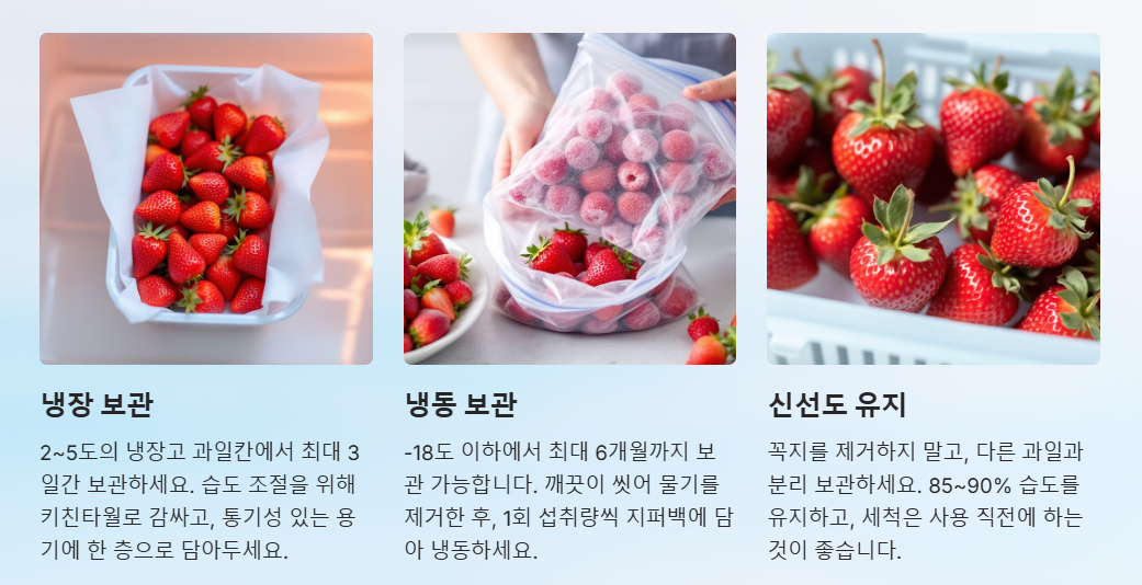 딸기를 오래 보관하는 최적의 방법