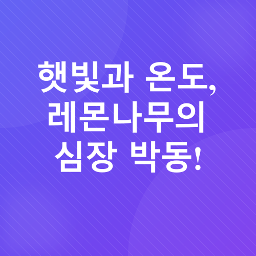 레몬나무 키우기_1